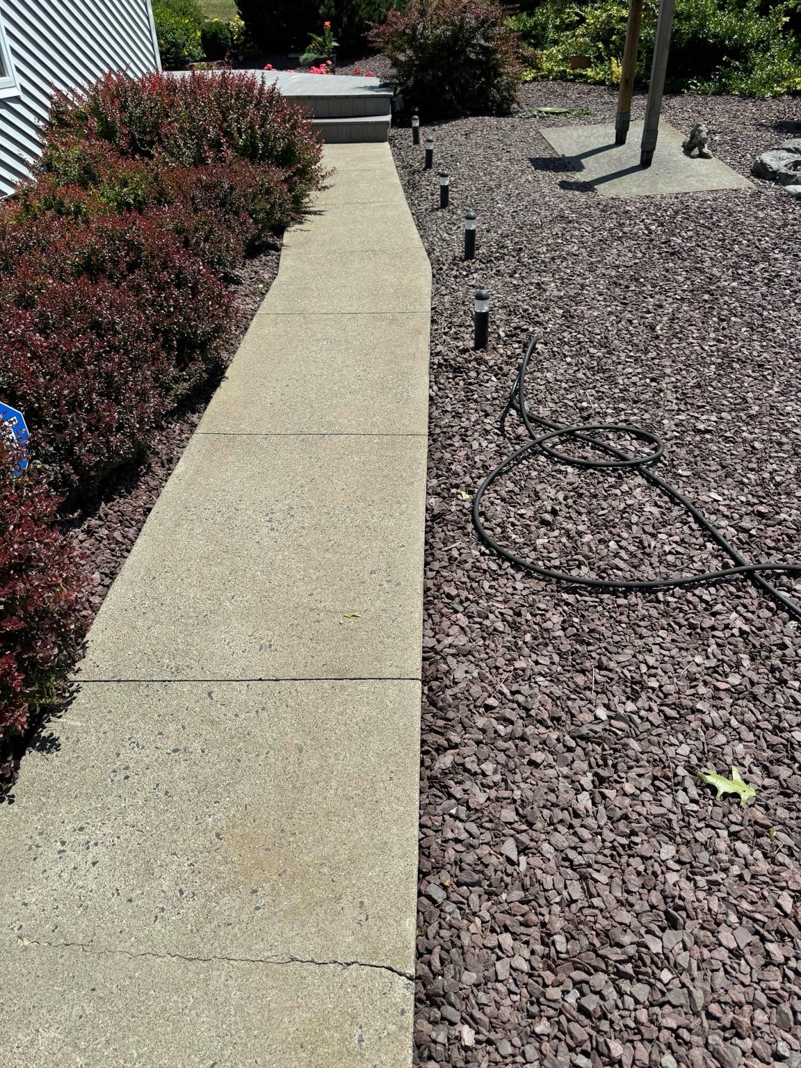 Concrete cleaning after